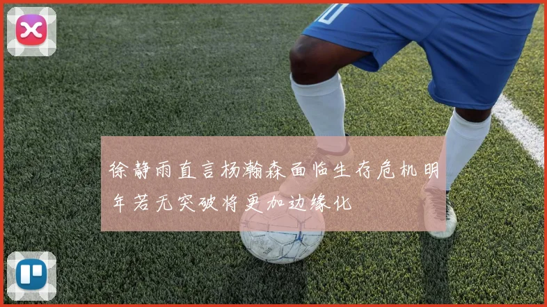 徐静雨直言杨瀚森面临生存危机明年若无突破将更加边缘化