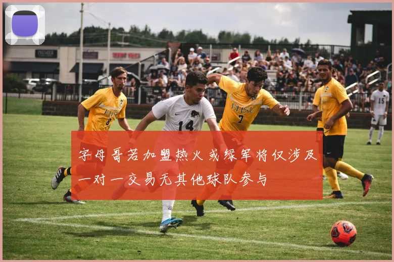 字母哥若加盟热火或绿军将仅涉及一对一交易无其他球队参与