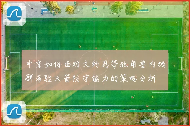 申京如何面对文约恩等独角兽内线群考验火箭防守能力的策略分析